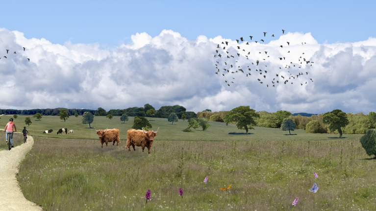 Elf Hills visualisation of new woodland and woodland pasture